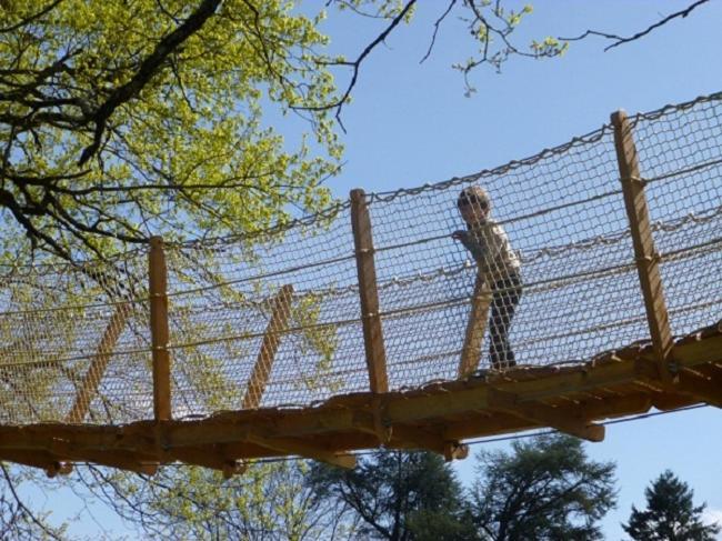 Cabane Perchee Dans Les Arbres Saint-Hilaire-en-Morvan Εξωτερικό φωτογραφία