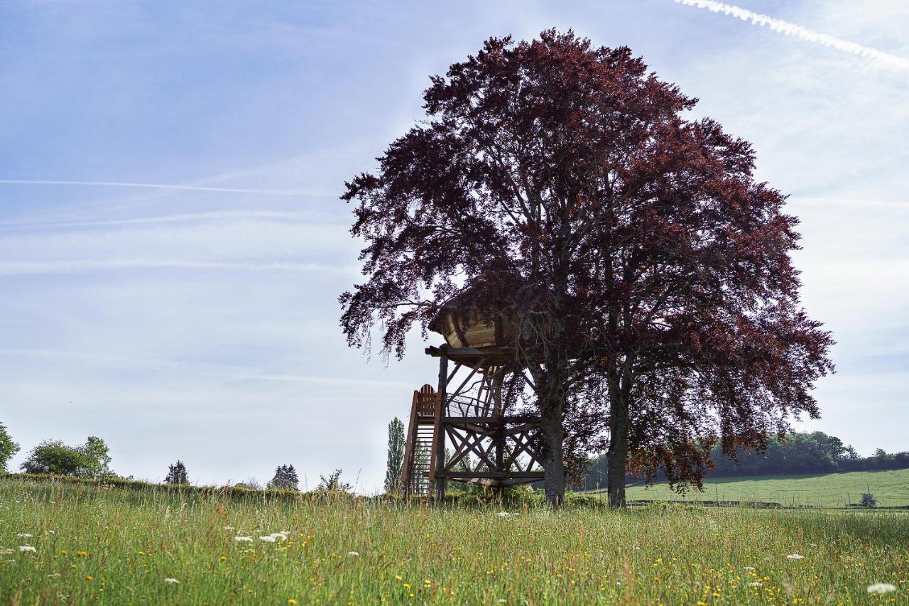 Cabane Perchee Dans Les Arbres Saint-Hilaire-en-Morvan Εξωτερικό φωτογραφία
