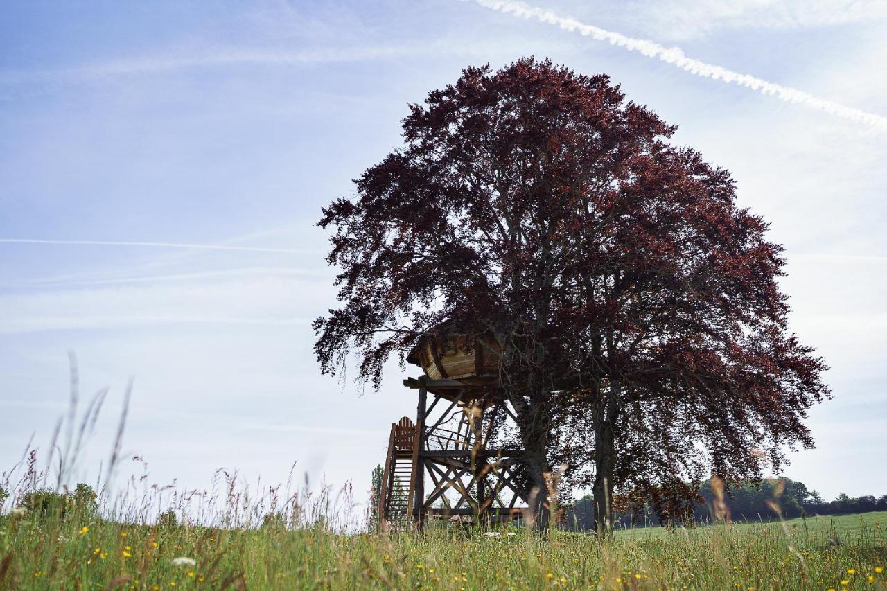 Cabane Perchee Dans Les Arbres Saint-Hilaire-en-Morvan Εξωτερικό φωτογραφία