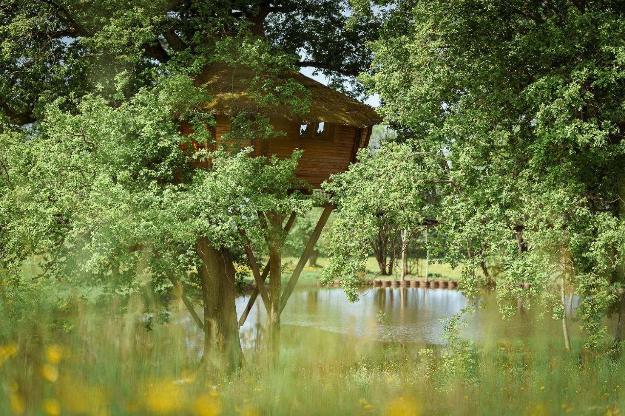 Cabane Perchee Dans Les Arbres Saint-Hilaire-en-Morvan Εξωτερικό φωτογραφία