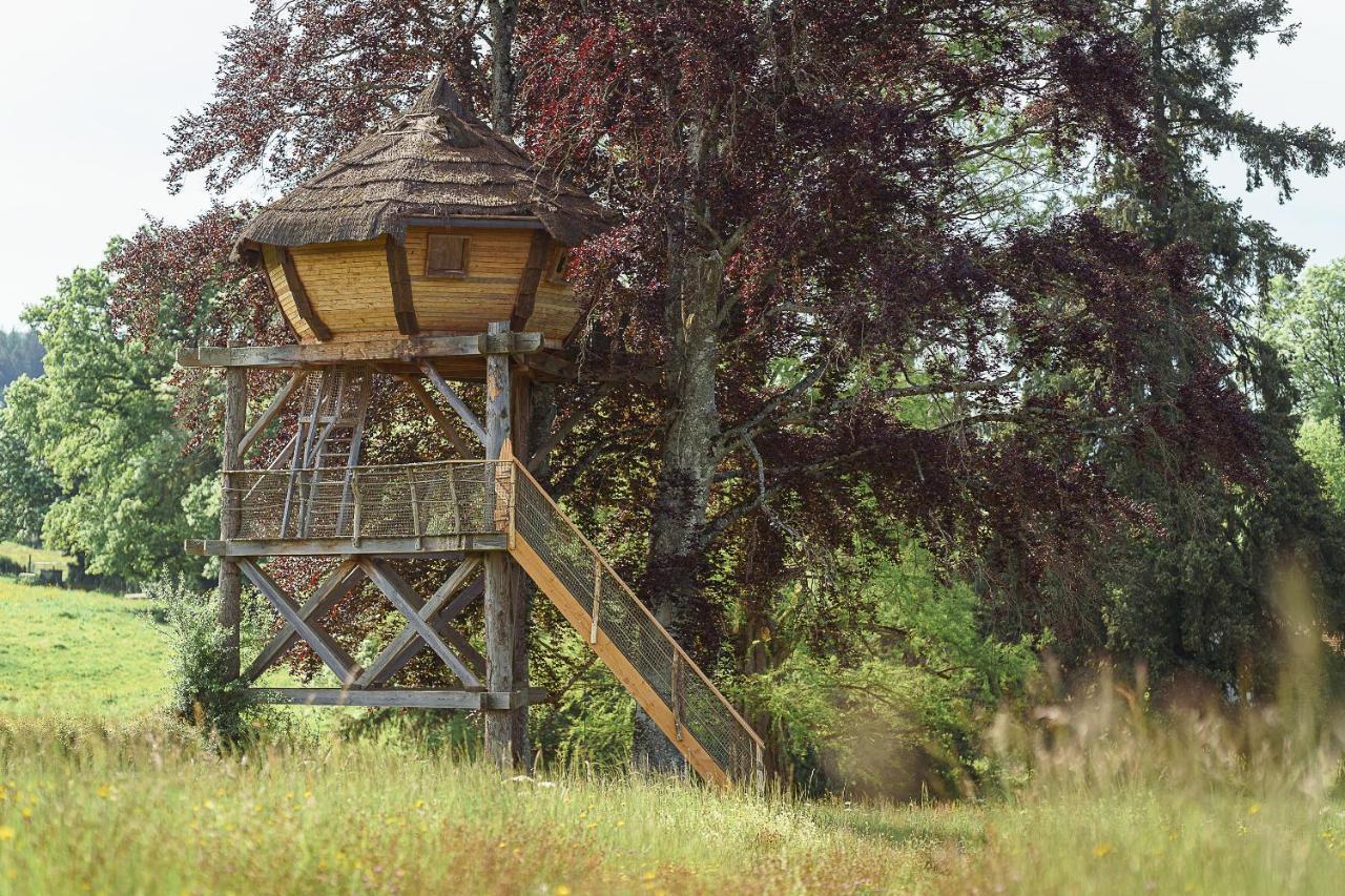 Cabane Perchee Dans Les Arbres Saint-Hilaire-en-Morvan Εξωτερικό φωτογραφία