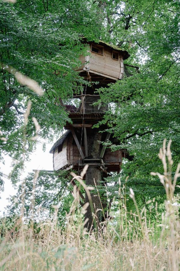Cabane Perchee Dans Les Arbres Saint-Hilaire-en-Morvan Εξωτερικό φωτογραφία
