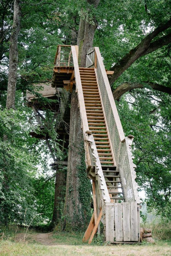 Cabane Perchee Dans Les Arbres Saint-Hilaire-en-Morvan Εξωτερικό φωτογραφία