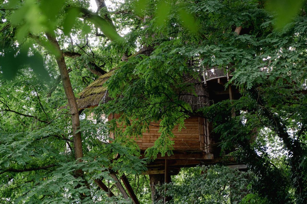 Cabane Perchee Dans Les Arbres Saint-Hilaire-en-Morvan Εξωτερικό φωτογραφία