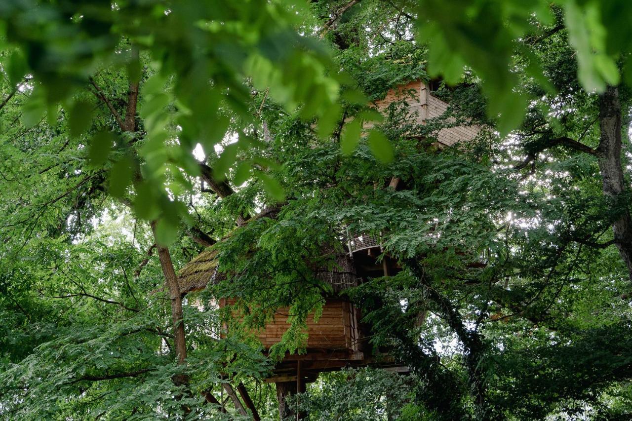 Cabane Perchee Dans Les Arbres Saint-Hilaire-en-Morvan Εξωτερικό φωτογραφία